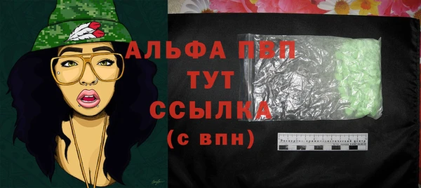 сатива Каменка