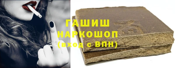 сатива Каменка