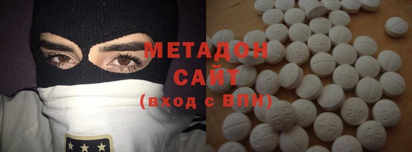 сатива Каменка