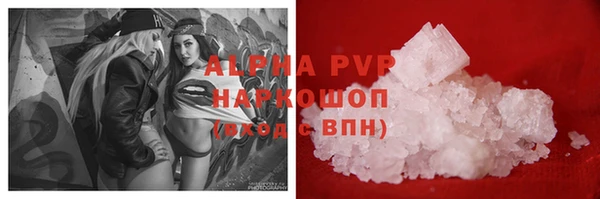 сатива Каменка