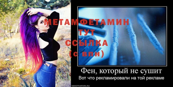 сатива Каменка