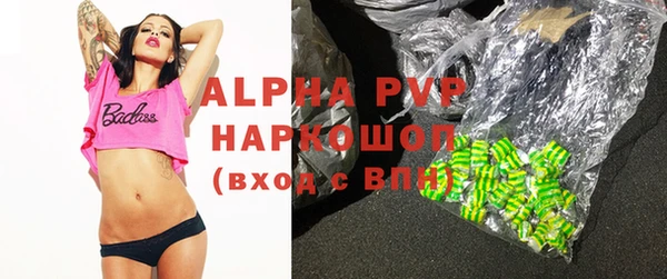 сатива Каменка