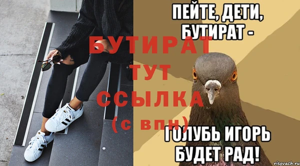 сатива Каменка