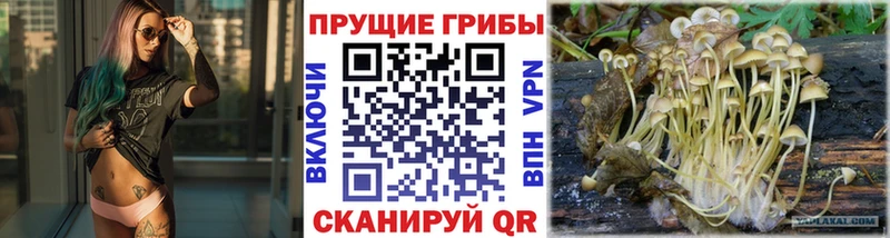 Псилоцибиновые грибы Magic Shrooms Купить закладки Гусь-Хрустальный